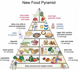 just a marine: Another food pyramid