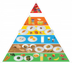 White bread taken off the table in new “healthy eating” food pyramid