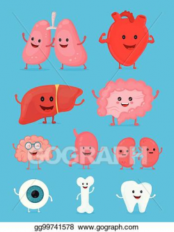 Vector Art - Cute smiling happy human healthy strong organs ...
