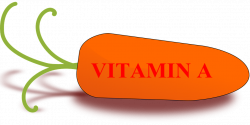 Manfaat Vitamin A Untuh Tubuh Manusia | Kesehatan | Pinterest | Vitamins