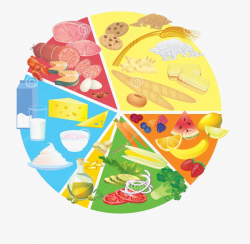 Nutrition Icon Png - Healthy Food Plate Clipart ...