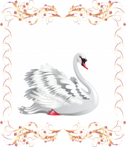 Black swan Photography Clip art - Beautiful swan 1323*1537 ...