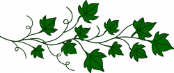 Vines Transparent PNG Pictures - Free Icons and PNG Backgrounds