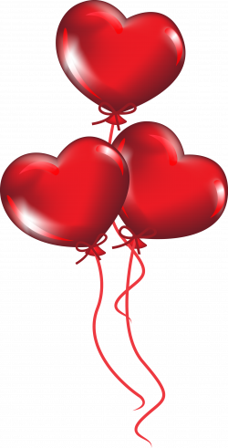 Heart-shaped balloons Vector material 1690*3325 transprent Png Free ...
