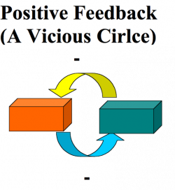 Difference Between Positive Feedback and Negative Feedback ...
