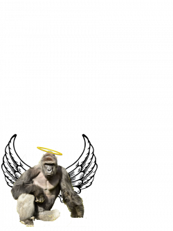 Open then swipe up to send harambe to heaven - scoopnest.com