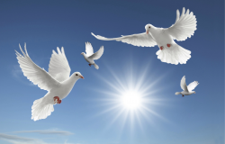 Free Heaven Clipart dove, Download Free Clip Art on Owips.com