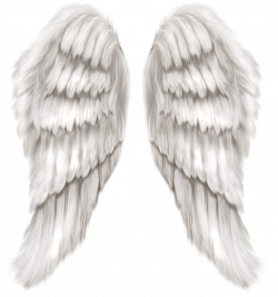 White Angel Wings Transparent PNG Clip Art Image | Digiscrap ...