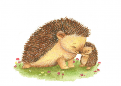 Baby hedgehog clipart - ClipartPost