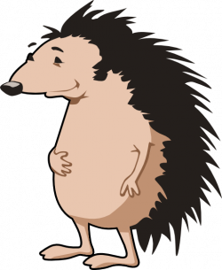 Hedgehog Clipart | i2Clipart - Royalty Free Public Domain Clipart