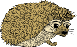 Hedgehog — Sydney Koffler