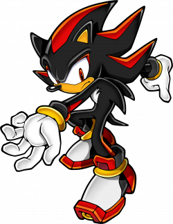 Shadow the Hedgehog | Sonic & Tails' Stupid & Dumb Adventures Wikia ...