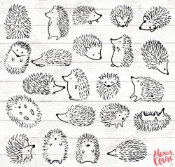 Hedgehog Clipart - 22 Hedgehog Doodle Clip art - Hedgehog ...