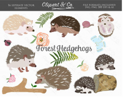 Hedgehog Clipart, Woodland Animals Clipart, Design Elements Forest Clipart,  25 Vector Images and SVG Decals