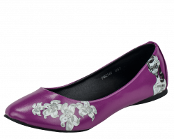 Flat Shoes PNG Transparent Images | PNG All