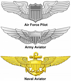 United States Aviator Badge | Pinterest | Aviation, Badges and Military