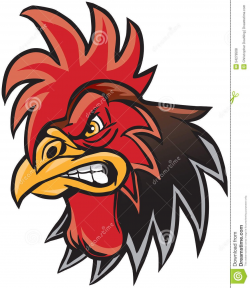 Angry Cartoon Rooster Mascot Head Illustration | Style in ...