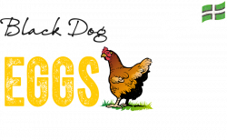Egg facts | Black Dog Eggs