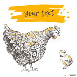 Illustration little chicken and hen. Series of farm animals ...