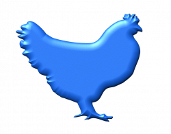 transparent blue hen png picture-1024-800 | hen png graphic