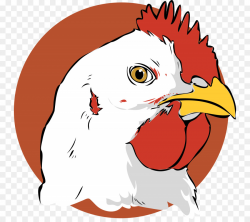 Chicken Cartoon clipart - Chicken, Bird, Nose, transparent ...