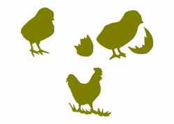 Chicken Cock Poultry Hen Transparent Png Images - Chicken ...