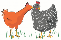 An Illustrator and Author Documents her Chicken Adventures ...