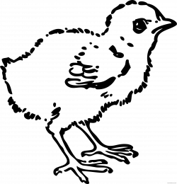 Chick - Page 8 of 8 - ClipartBlack.com