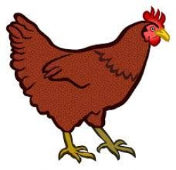 hen clipart - Google Search | speech | Clip art, Hens, Animals
