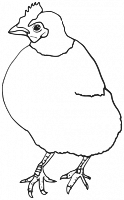 Chicken Outline Drawing at GetDrawings.com | Free for personal use ...