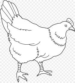Bird Line Drawing clipart - Chicken, Egg, Bird, transparent ...