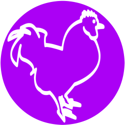 Choosing hatching eggs: give your chicks the best start in life.