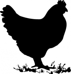 Chicken-Hen-roosters-silhouette | 4-H Signs | Chicken clip ...