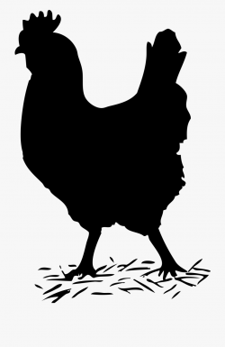 Shapes Clipart Chicken - Hen Black And White #9090 - Free ...