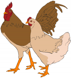 File:Rooster and hen clipart 01.svg - Wikimedia Commons