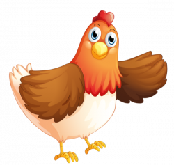 poules | galinhas | Pinterest