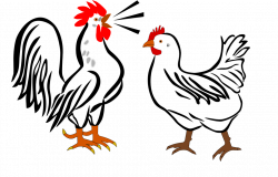 Poultry Clipart Group (81+)