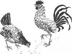 Image result for chicken clipart black and white | Zentangles ...