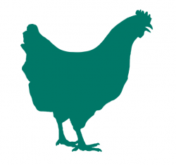 Pullet Grower - Aus Organic Feeds | Stock Feed | Animal Feed ...