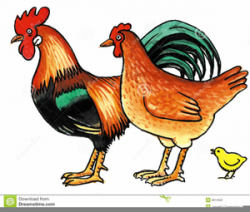 Chicken Hen Clipart | Free Images at Clker.com - vector clip ...