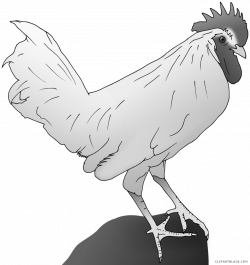 Chicken Animal free black white clipart images clipartblack ...