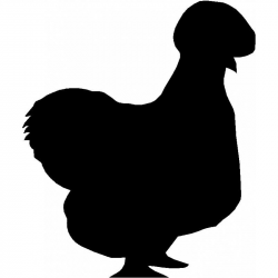 Download silkie chicken clipart Rooster Silkie Clip art ...