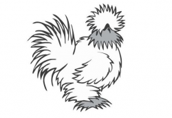 Silkie Decal / Chicken lover / Funny Decal / Farm decal ...