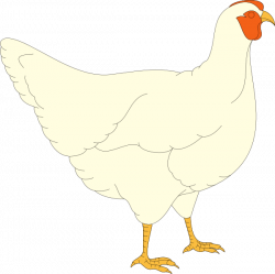 Simple White Chicken Clip Art at Clker.com - vector clip art online ...