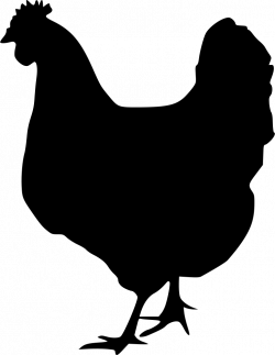 Chicken Rooster Silhouette Clip art - hen chicken png ...