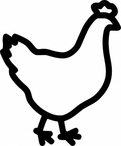 Hen Bird Poultry Chicken Svg Png Icon Free Download (#448115 ...