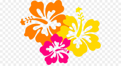 Hawaiian Flower Clip art - Hibiscus Flower Drawings png download ...