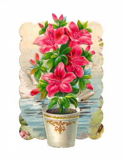 flower pots clip art - Google Search | Clipart | Pinterest | Clip ...