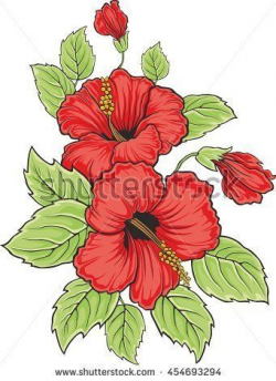 Blooming beautiful hibiscus flower. Hawaii symbol. Card or ...
