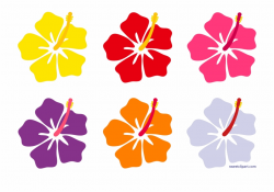 Hibiscus Flower Png Free - Hibiscus Flower Cartoon ...